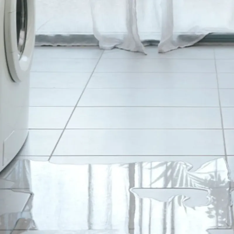 Appliance Leak Cleanup in Greater Northdale, FL