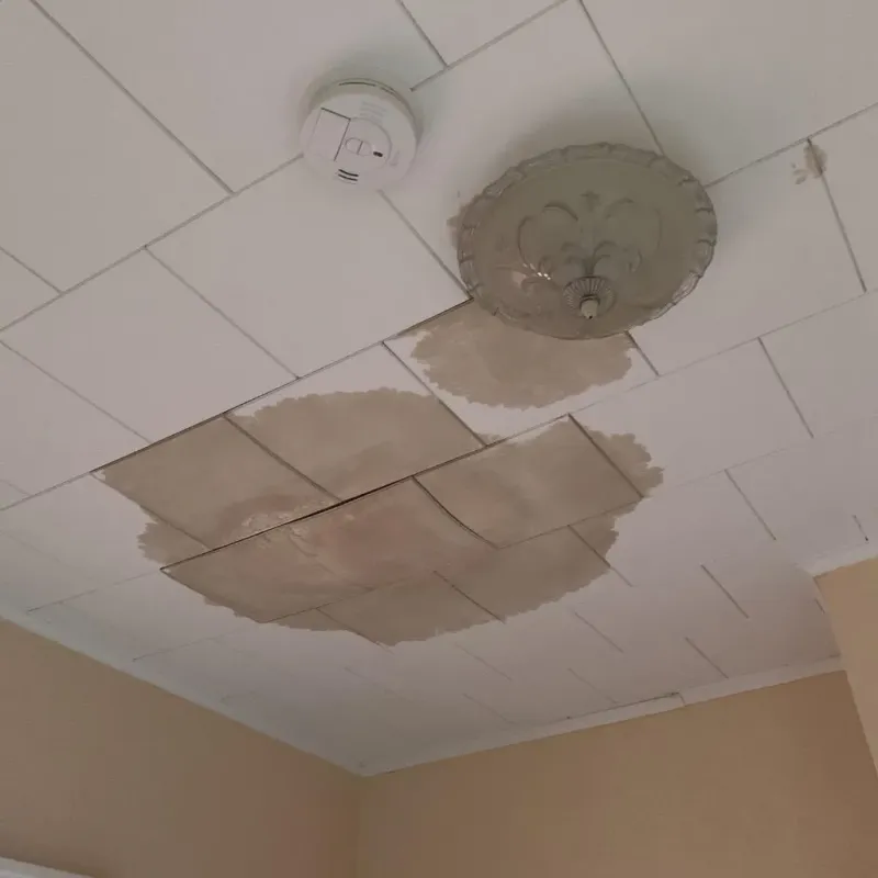 Ceiling Water Damage Repair in Greater Northdale, FL